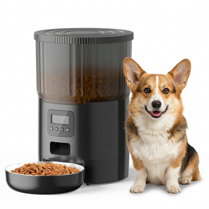 Black automatic dog feeder placed on floor ready to dispense dry dog food at programmed times