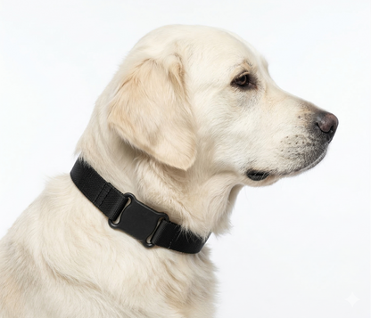 Close up of dog GPS tracker collar mounted on pet collar showing compact lightweight locator device