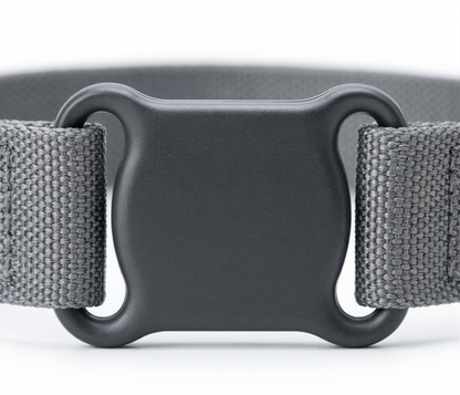 Compact dog GPS tracker collar shown on dog neck demonstrating small size and comfortable daily wear